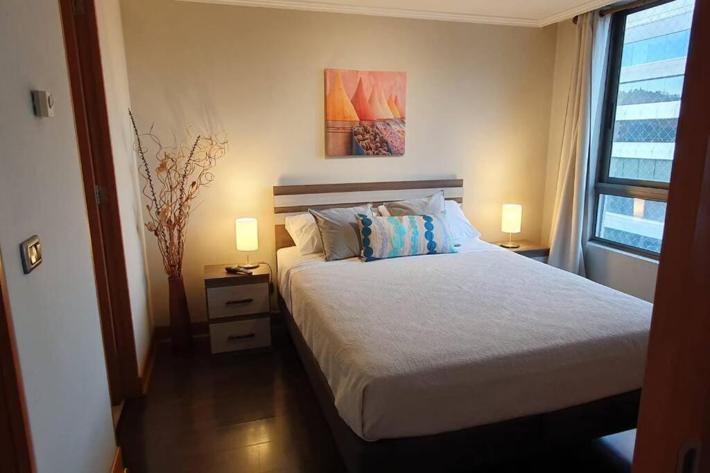 Providencia A Pasos Del Metro Pedro De Valdivia Apartment Santiago Luaran gambar